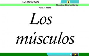 http://cplosangeles.juntaextremadura.net/web/edilim/curso_2/cmedio/nuestro_cuerpo02/musculos02/musculos02.html