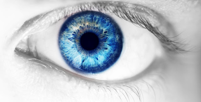 Shkencëtarët kultivojnë retinë njerëzore në enë laboratorike, shpresë për kurimin e sëmundeve të syve
