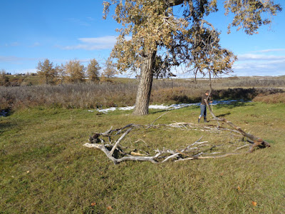 deadfall, land art, verna vogel, sheep river alberta