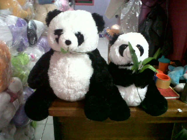 10+ Boneka Panda Besar Bogor