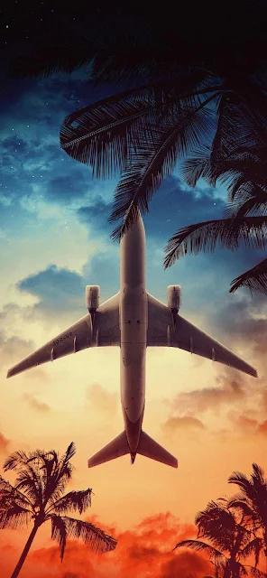 Airplane Flying over Tropical Palm Tree Wallpaper for iPhone