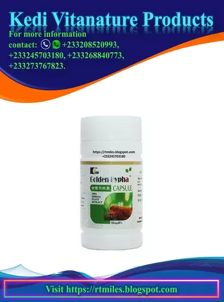 Kedi Golden Hypha Capsules Improves Immune System & Liver Function