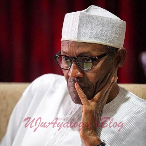 Nigeria will fall into wrong hands if Buhari dies in power – Bishop