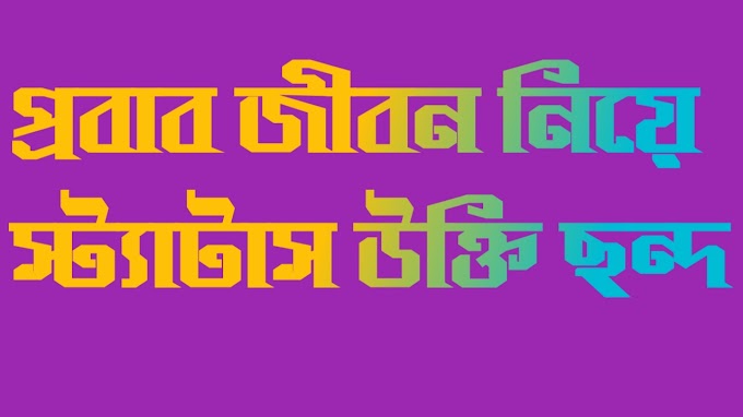 প্রবাস জীবন নিয়ে স্ট্যাটাস - উক্তি - ছন্দ - কবিতা এবং কথা ২০২২