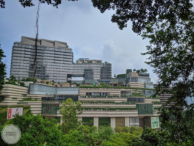 【香港好去處】煩囂中的寧靜 尖沙咀 訊號山 大包米訊號塔 - K11 MUSEA