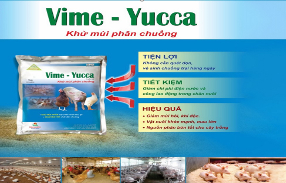 Đệm lót sinh thái Vime-Yucca, khử được tất cả mùi hôi chuồng trại. Ảnh: Hữu Đức.