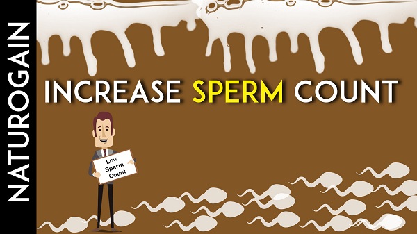 increase sperm count