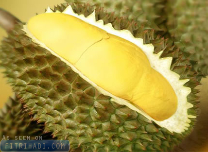 (Tips) 5 Cara Pilih Buah Durian Yang Terbaik