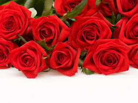 Beautiful Red Roses Flowers Collections 17
