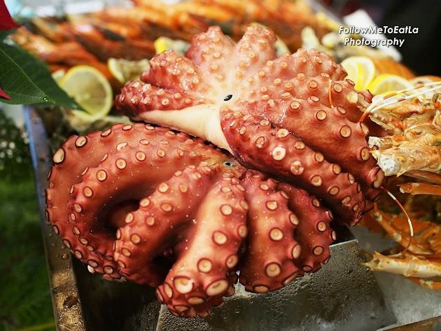  Ocean Fresh Giant Octopus