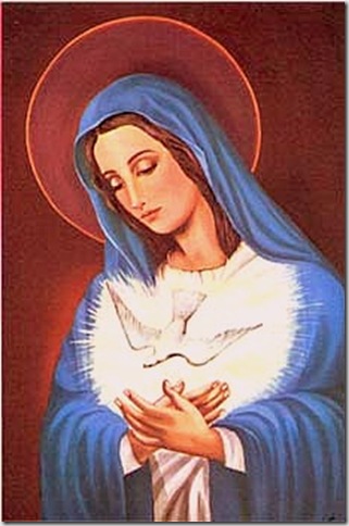 Esposa Inmaculada