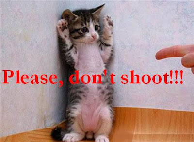 Funny animals: Please don't shoot! 搞笑动物图片：请勿开枪！