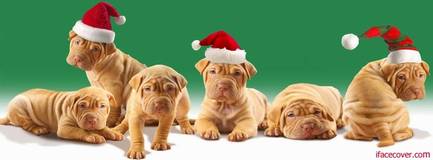 Cute Dogs Christmas Cover Photo