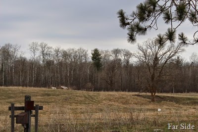 CCC Camp 3701 North of Hwy 200