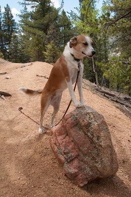 Goose Creek Trail