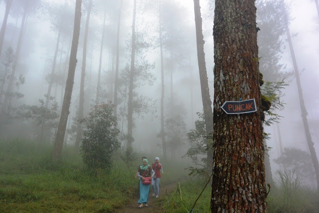 grenden, pendakian, gunung merbabu, pogalan, magelang