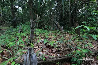 makam ka loesoh belitung timur