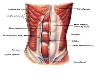 susu fitness murah kaskus