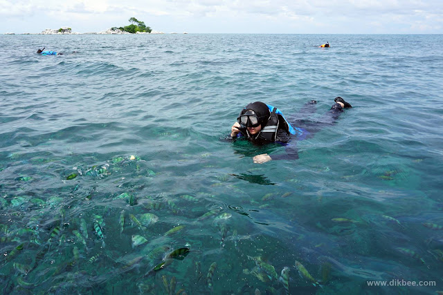 Hari 3 : Snorkeling Dan Island Hopping Di Pulau Belitung