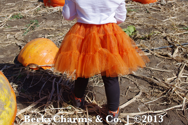 This Time Last Year - Bates Nut Farm Pumpkin Patch 2012 by BeckyCharms & Co.