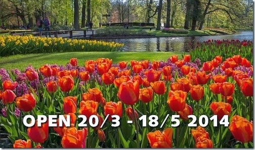 Сезон 2014 года в Кёкенхофе