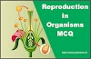 Reproduction in Organisms-MCQ