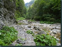 DSCN4009