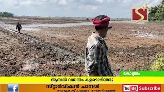 മലരിക്കലിലെ ആമ്പല്‍ വസന്തം അവസാനിച്ചു