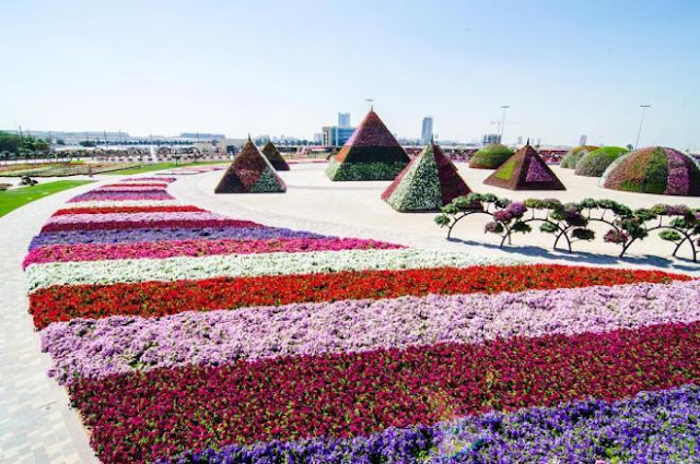 Dubai Flower Show