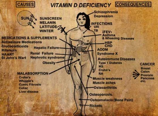 vitamina d pelle secca