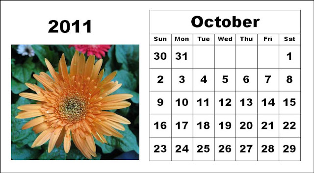 2011 calendars printable. 2011+calendar+printable+