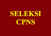 Penerimaan CPNS 2013 Pemerintah Kabupaten Nunukan