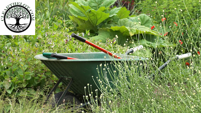 Each gardener is ongoing from a different part of the garden clearance