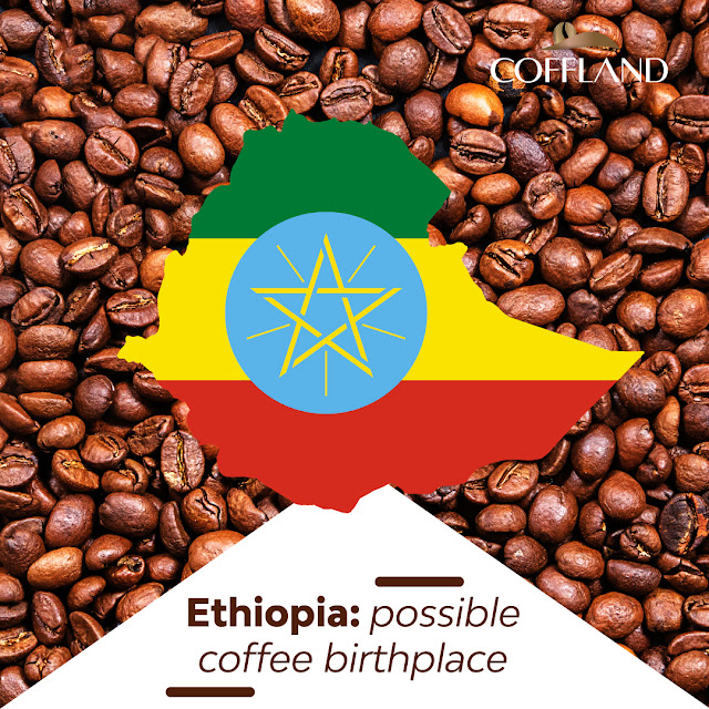 Ethiopia, possible coffee birthplace