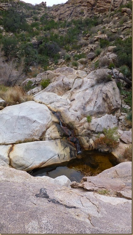 Romero pools hike_050