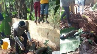 Wife Connives With Her Sons To Kill Her Husband, Bury Him Under A Tree (Disturbing Photos) 