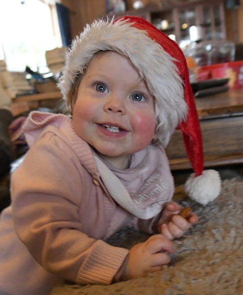 adventskalender