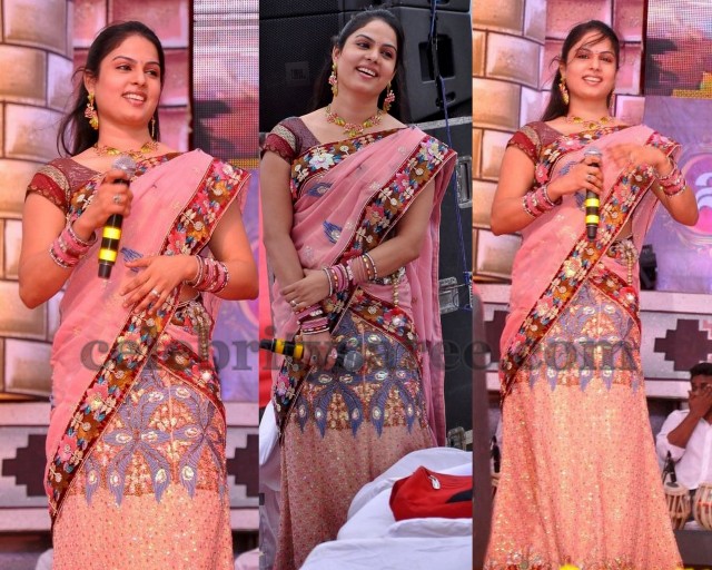 Anchor in Net Half Saree