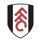 Fulham vs Newcastle Highlights EPL Nov 9