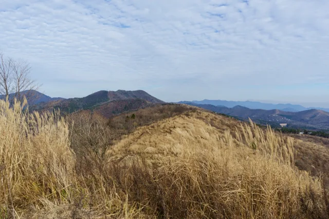 大平山山頂（1296m）からの景色