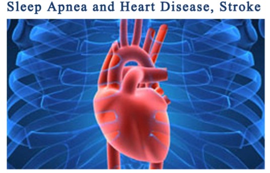 Can Sleep Apnea Predict Heart Diseases