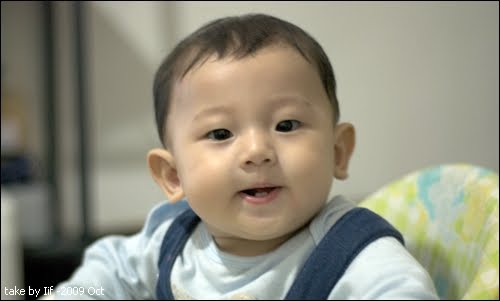小兩齒
