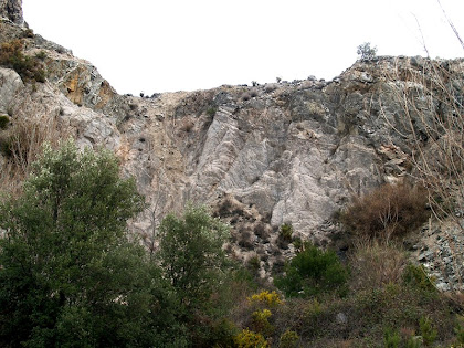 Vista del front d'explotació de marbres de la part superior de la Pedrera Meca o Pedrera de l'Àngel