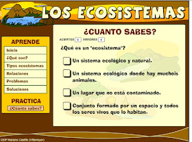 http://ceiploreto.es/sugerencias/catedu.es/chuegos/kono/sexto/t1/eco2.swf