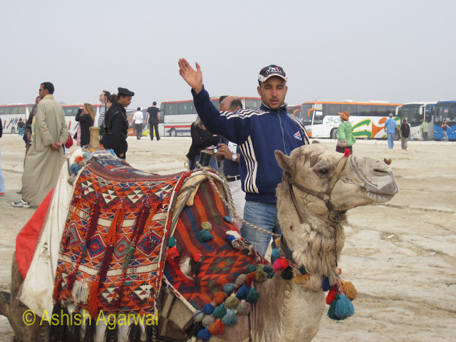 Cairo Pyramids - A decorated pyramid, ready for tourists to take a short ride