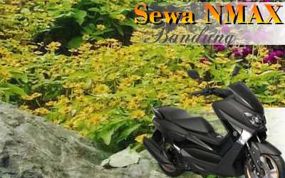 Rental motor Yamaha N-Max Jl. Moh Toha Bandung