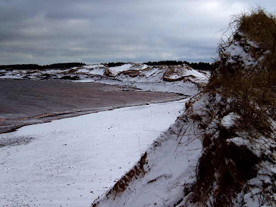 It was cold enough that Hubby decided that he wouldn’t go swimming after all.