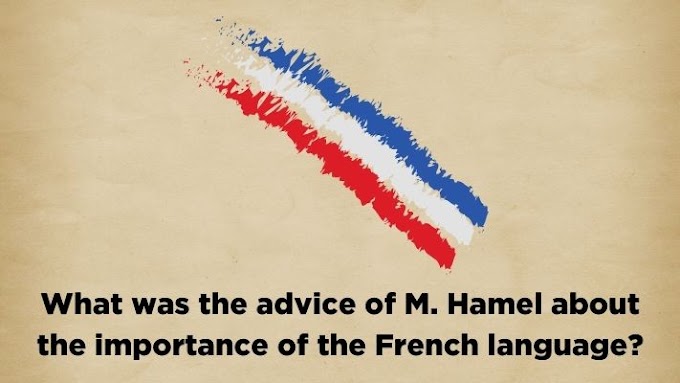 What was the advice of M. Hamel about the importance of the French language?