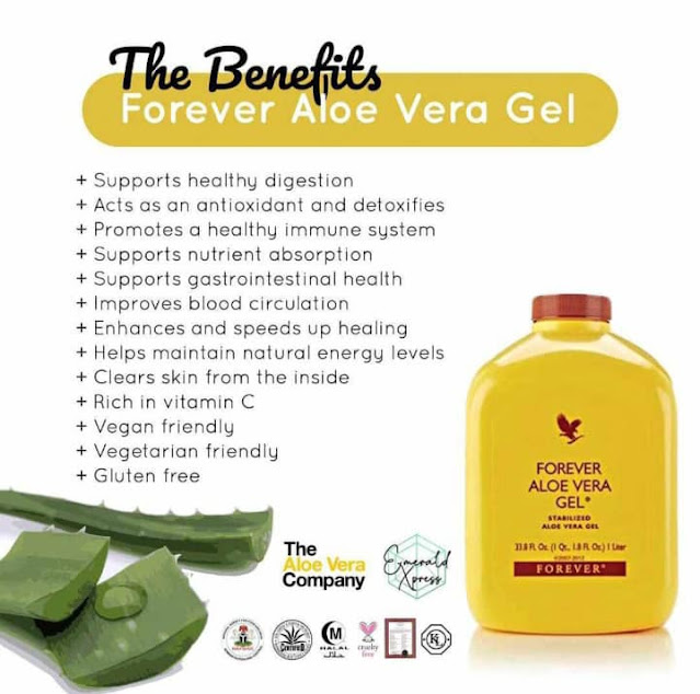 Best Exploring the Benefits of Forever Aloe Gel