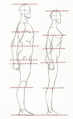 Como Dibujar Anatomia Humana Paso a Paso - GUIA GRATIS